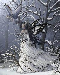 小雪狐多少钱一只