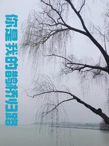 报复游戏攻略视频