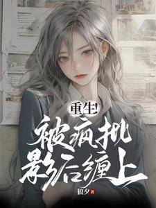 论揍敌客长媳的自我修养作者晋江